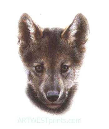 Reproductions of Carl Brenders paintings Den Mother-Wolf Scout Reproductions of Carl Brenders paintings Den Mother-Wolf Scout